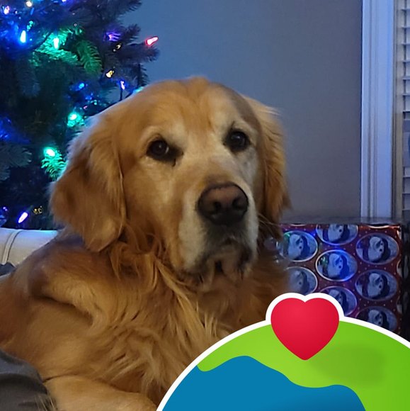 Meet your Posher, Michele - Picture 1 of 1